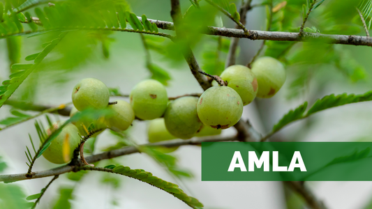 AMLA