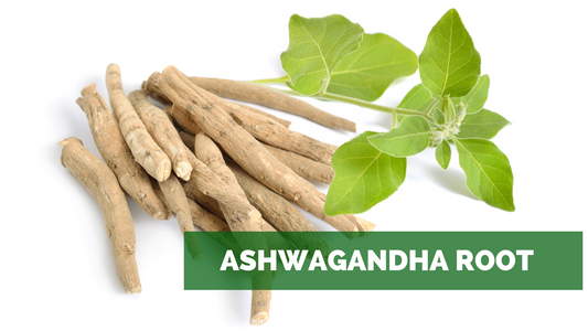 ASHWAGANDHA ROOT