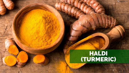 HALDI (TURMERIC)