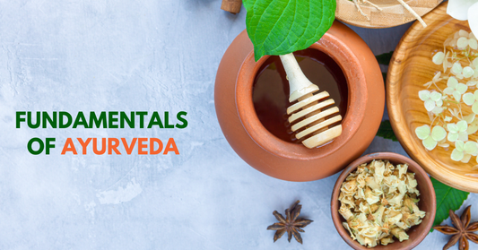 Ayurveda Fundamentals