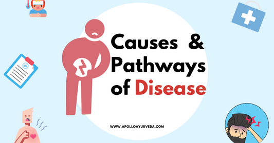 Causes and Pathways of diseases