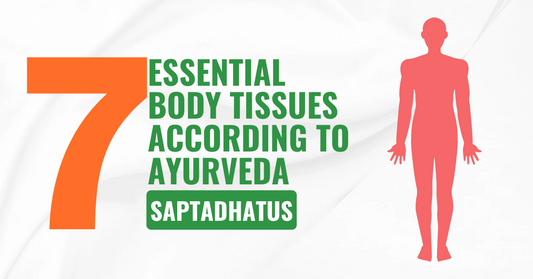 Saptadhatus: 7 essential body tissues according to Ayurveda